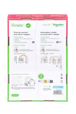 5 prises affleurantes 2P+T complète anthracite - Ovalis SCHNEIDER ELECTRIC