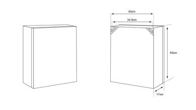 Armoire de toilette Tempo 40 blanche L 600 x H 400 MP GLASS