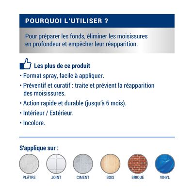 Anti-moisissures en pulvérisateur 500 ml by DIP ETANCH - RIPOLIN