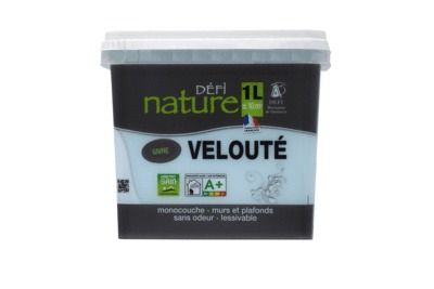 Peinture naturelle murale Givre velours 1 l - DEFI NATURE