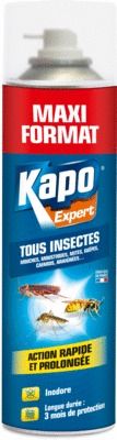 Insecticide tous insectes en aérosol de 600 ml KAPO