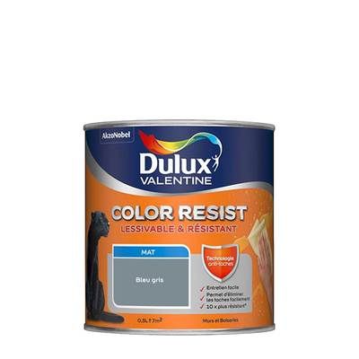 Peinture Color Resist murs et boiseries mat Bleu Gris 500 ml - DULUX VALENTINE