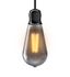 Ampoule Filament LED ST64 Edison 4 W = 230 Lumens XANLITE