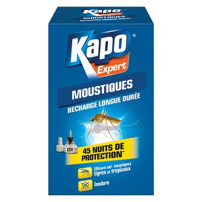 Insecticide aérosol anti-cafards blattes KAPO