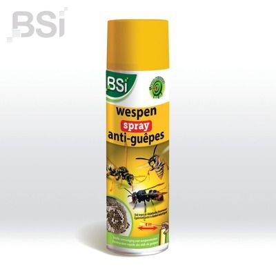 Spray anti-guêpes 500 ml  BSI