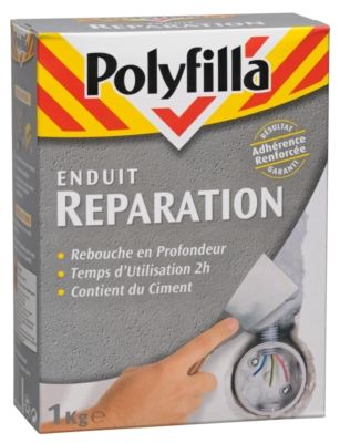 Enduit de réparation en poudre 1 kg POLYFILLA